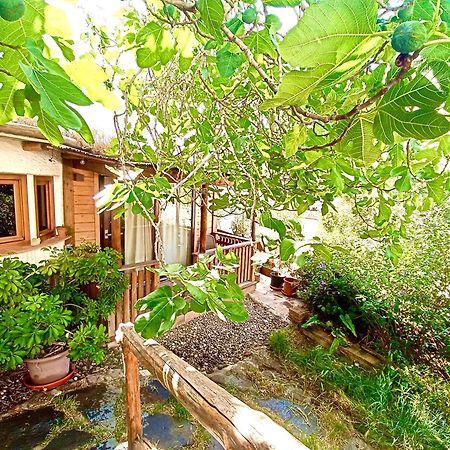 El Encanto Monachil Exterior photo