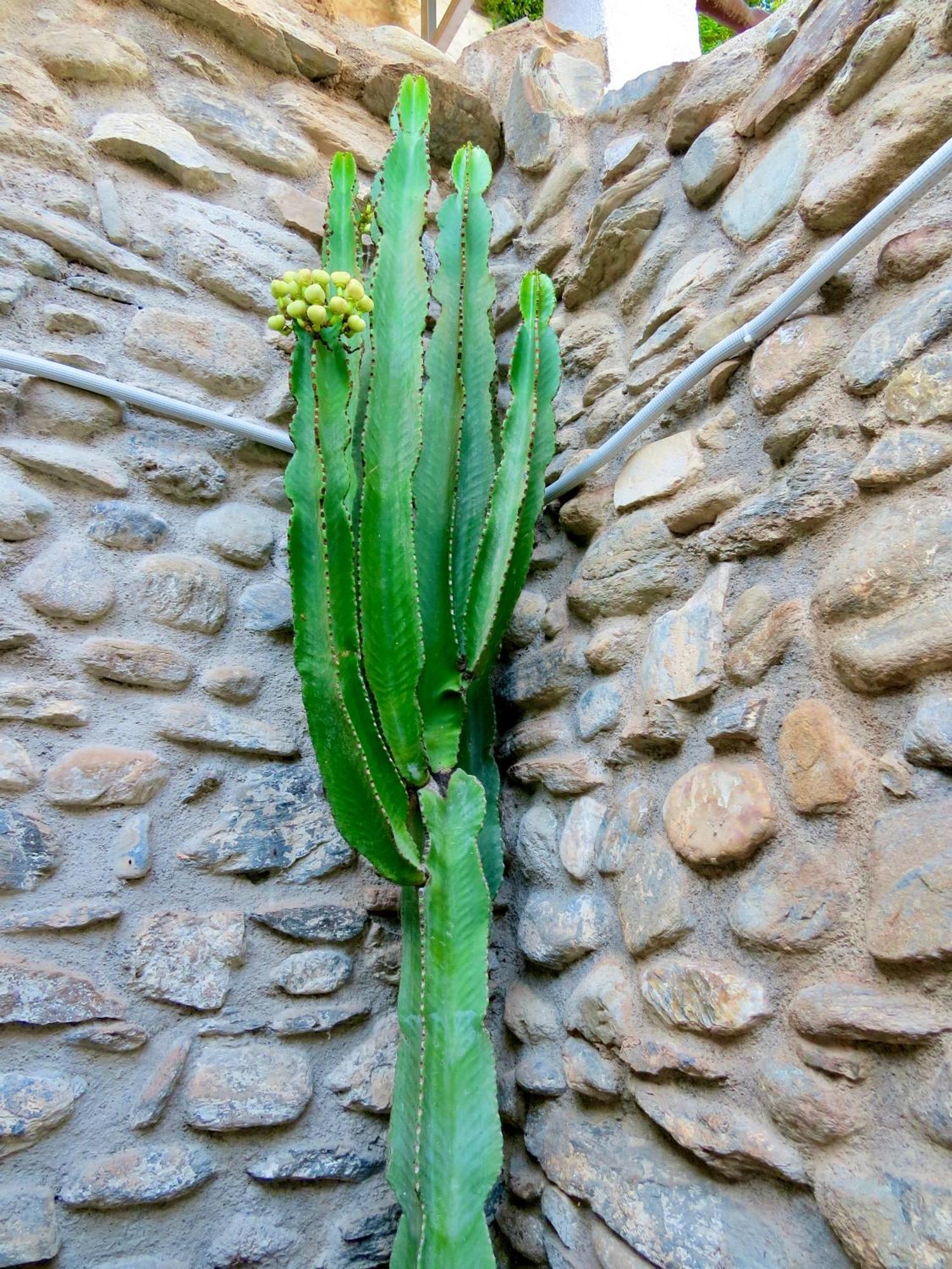 El Encanto Monachil Exterior photo
